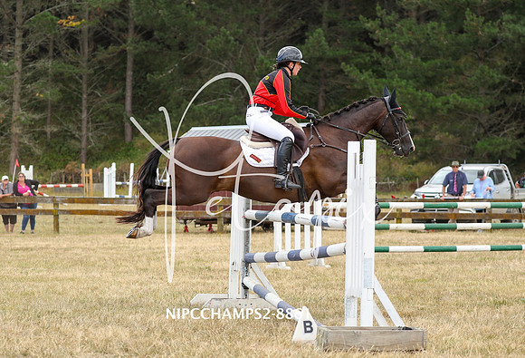NIPCCHAMPS2-8861