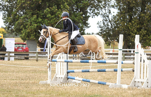 NIPCCHAMPS2-7927