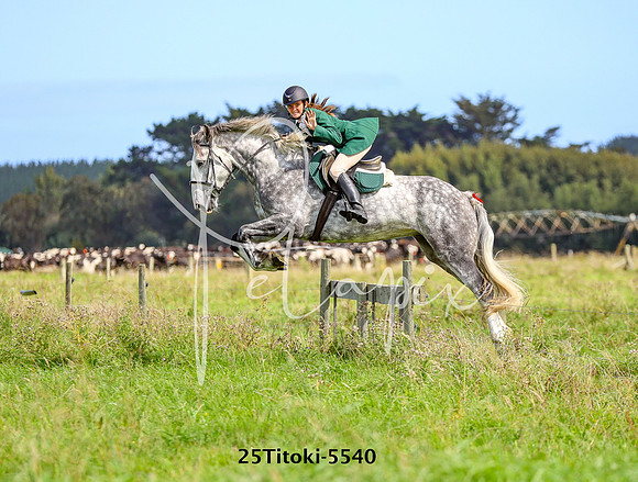 25Titoki-5540