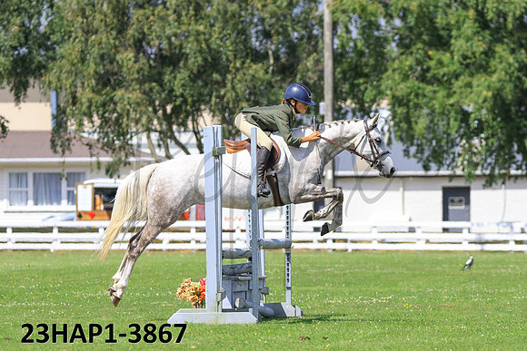 23HAP1-3867