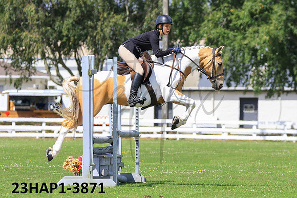23HAP1-3871