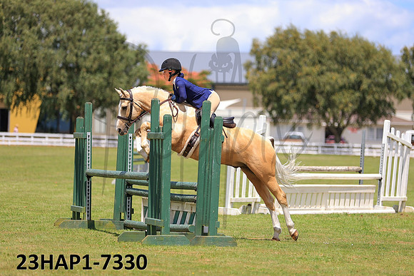 23HAP1-7330