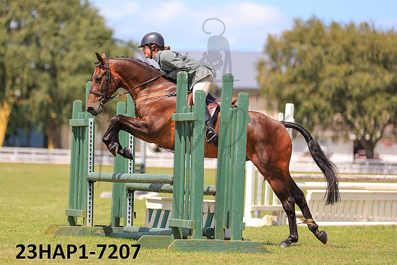 23HAP1-7207