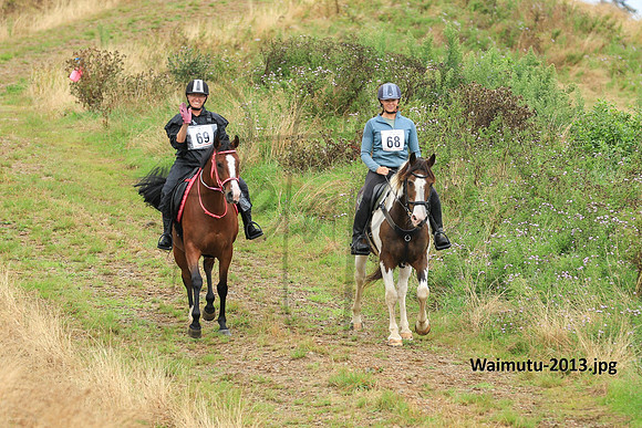 Waimutu-2013