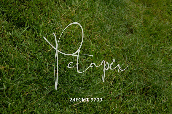 24EGMT-9700