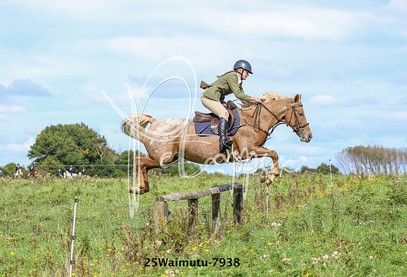25Waimutu-7938