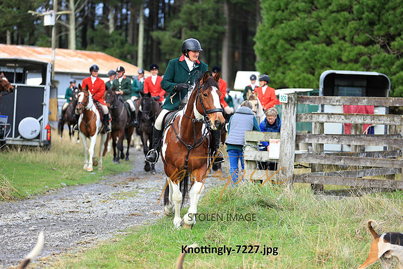 Knottingly-7227