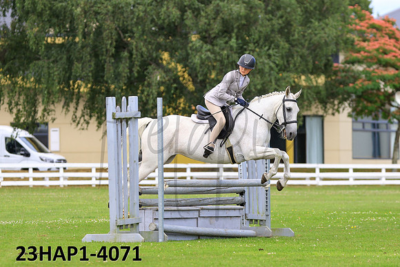 23HAP1-4071