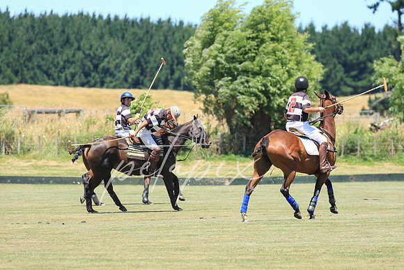 polo-0863