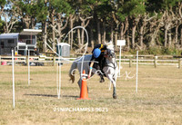 25NIPCHAMPS3-9625