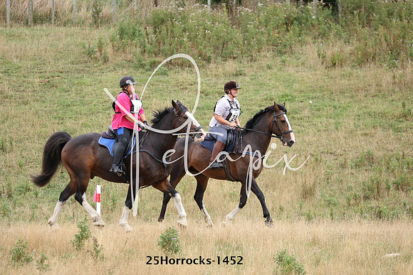 25Horrocks-1452