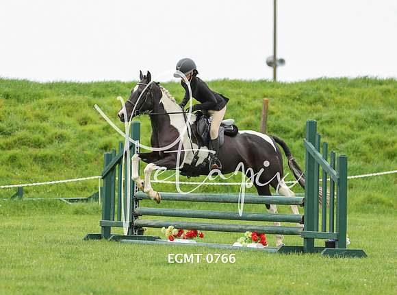 EGMT-0766
