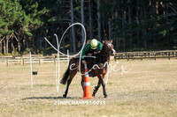 25NIPCHAMPS3-0033