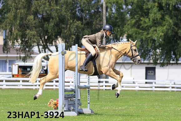 23HAP1-3924