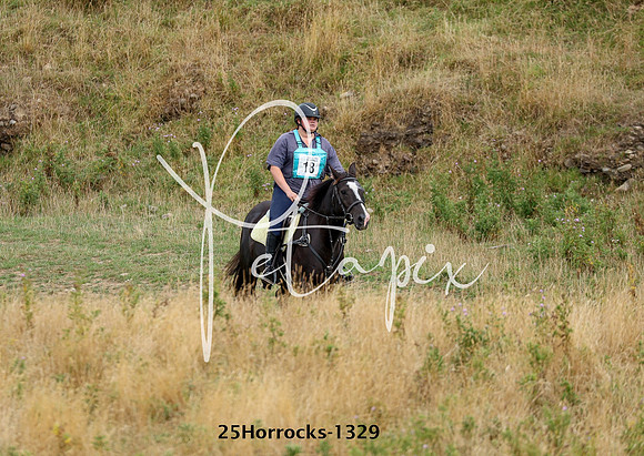 25Horrocks-1329