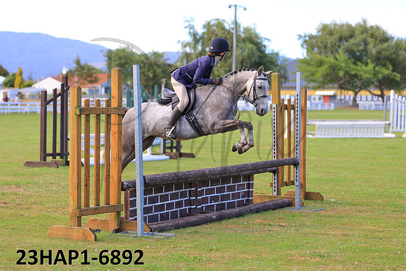 23HAP1-6892