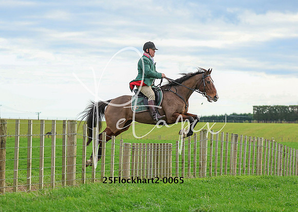 25Flockhart2-0065