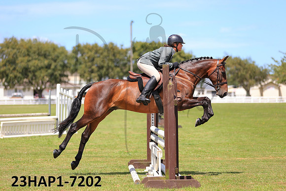 23HAP1-7202