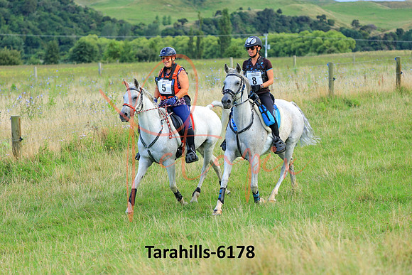 Tarahills-6178