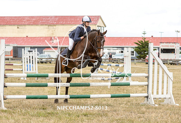 NIPCCHAMPS2-8013