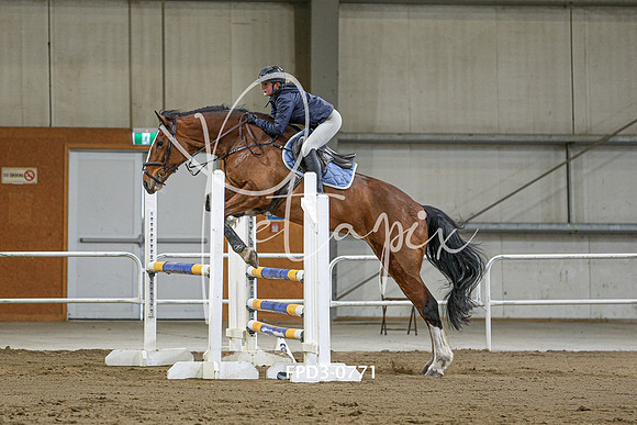 FPD3-0771