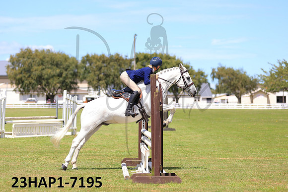 23HAP1-7195