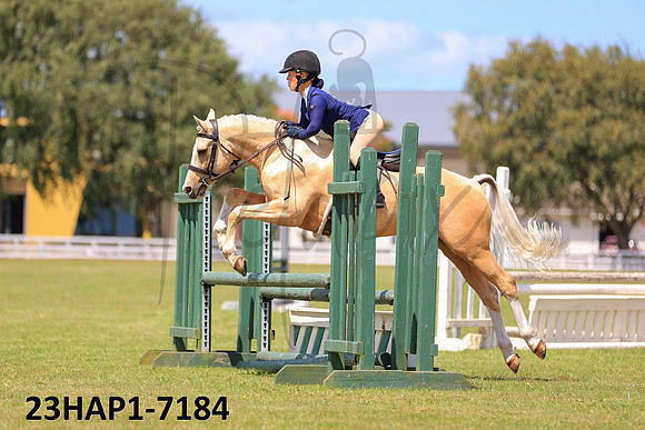 23HAP1-7184