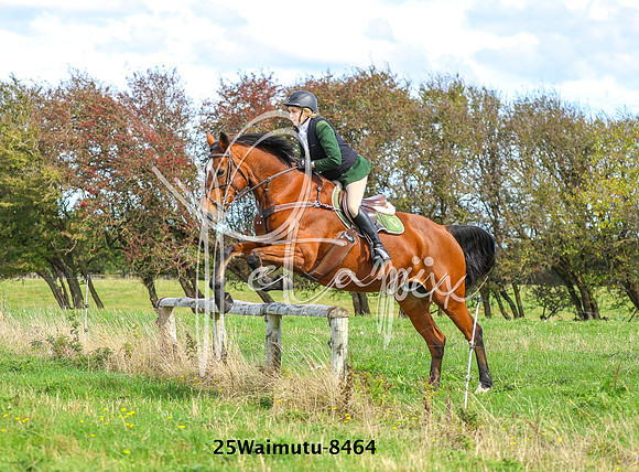 25Waimutu-8464