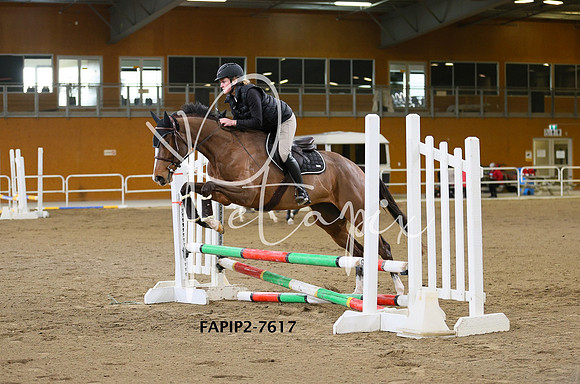 FAPIP2-7617