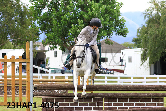 23HAP1-4075