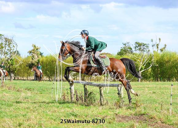 25Waimutu-8730