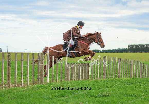 25Flockhart2-0042