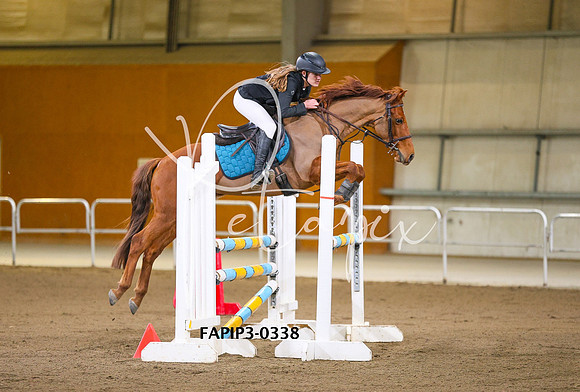 FAPIP3-0338