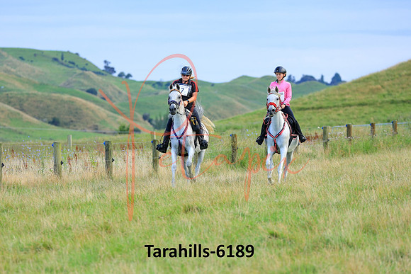 Tarahills-6189