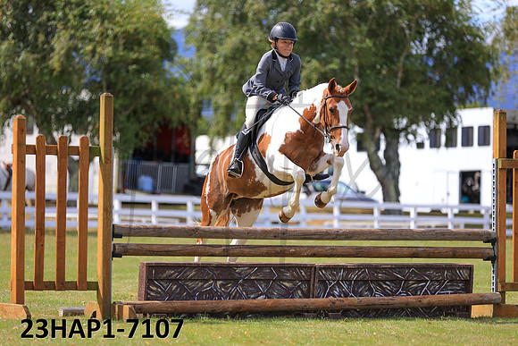 23HAP1-7107