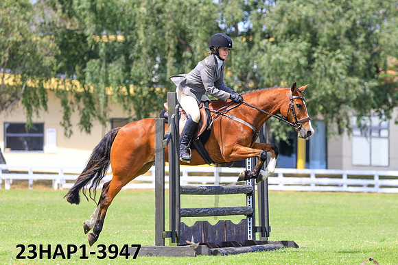 23HAP1-3947