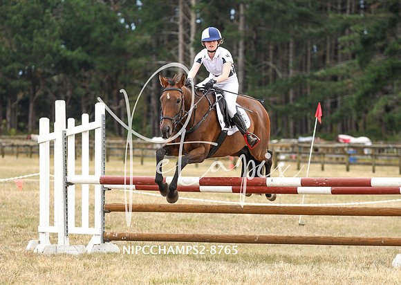 NIPCCHAMPS2-8765