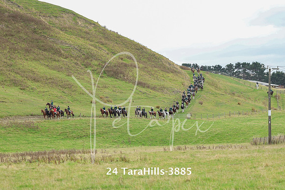 24 TaraHills-3885