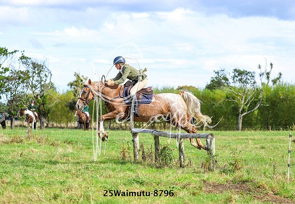 25Waimutu-8796