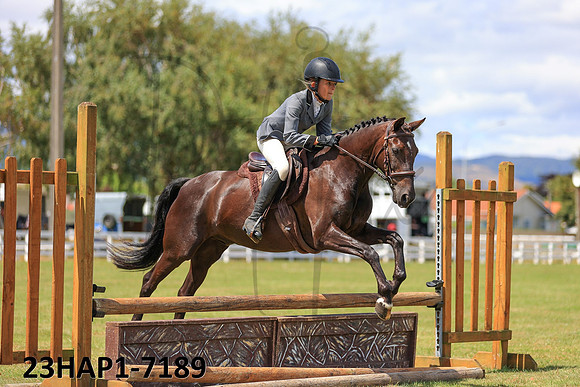 23HAP1-7189