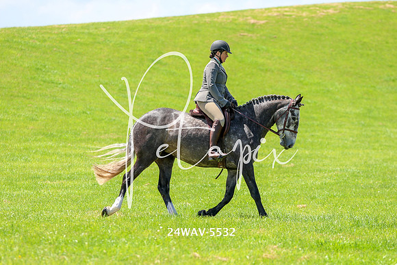 24WAV-5532