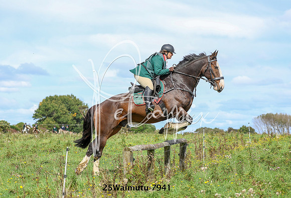 25Waimutu-7941
