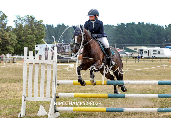 NIPCCHAMPS2-8024