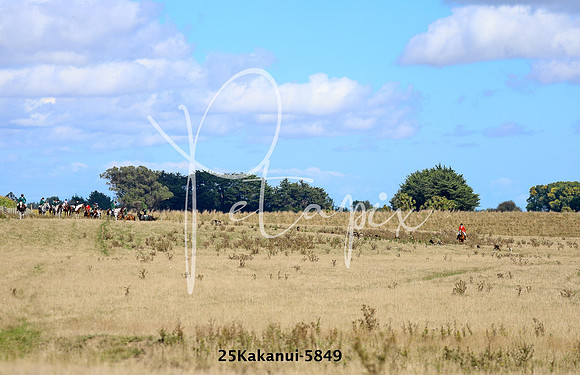 25Kakanui-5849