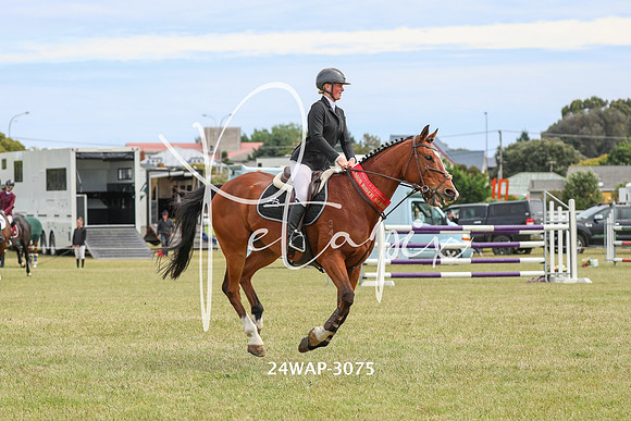 24WAP-3075