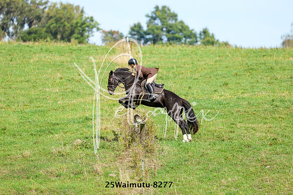 25Waimutu-8277