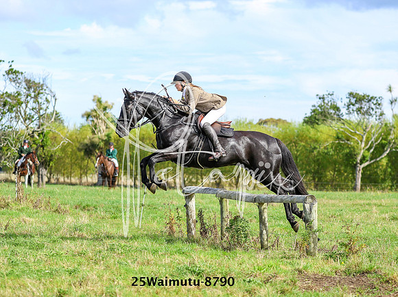 25Waimutu-8790