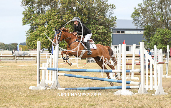 NIPCCHAMPS2-7893