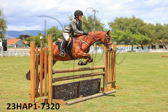 23HAP1-7320