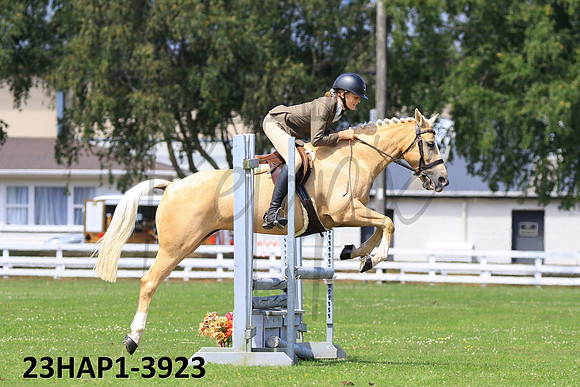 23HAP1-3923